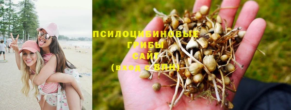 прущая мука Аркадак