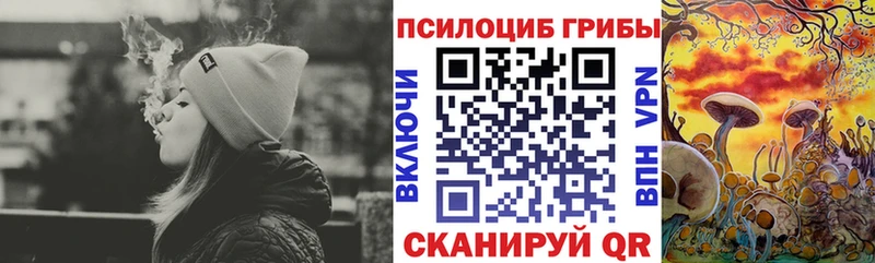 Галлюциногенные грибы Magic Shrooms  Салехард 